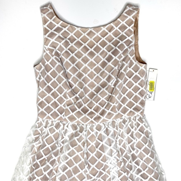 Eliza J Lace Sleeveless Fit & Flare Dress White 6 NWT - Picture 2 of 6